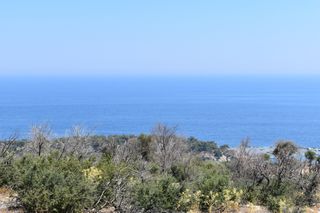 Αγροτεμάχια 4.044 τ.μ. προς πώληση, Αλυκή Θάσου-thumb-11