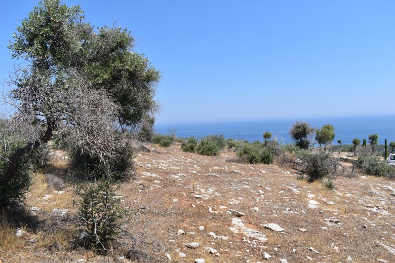 Αγροτεμάχια 4.044 τ.μ. προς πώληση, Αλυκή Θάσου