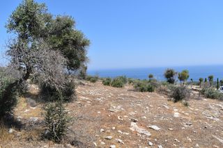 Αγροτεμάχια 4.044 τ.μ. προς πώληση, Αλυκή Θάσου-thumb-4