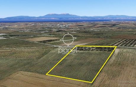 Parcel 10.000sqm for sale-Kallikrateia » Lakkoma