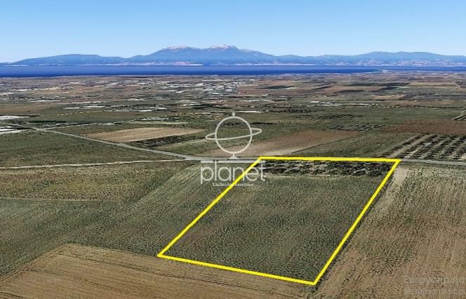 Parcel 10.000 sqm for sale, Chalkidiki, Kallikrateia