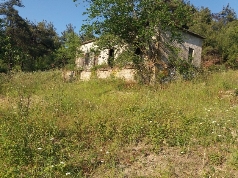Αγροτεμάχια 4.840 τ.μ. πρός πώληση, Ν. Καβάλας, Θάσος