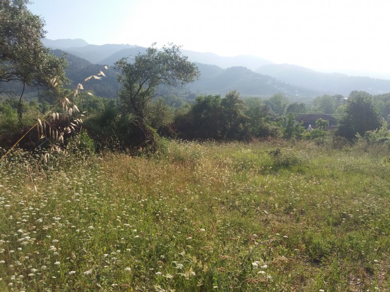 Αγροτεμάχια 4.840 τ.μ. πρός πώληση, Ν. Καβάλας, Θάσος