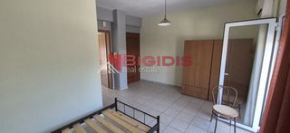 Studio / γκαρσονιέρα 48 τ.μ. για ενοικίαση, Ν. Σερρών, Σέρρες-thumb-11