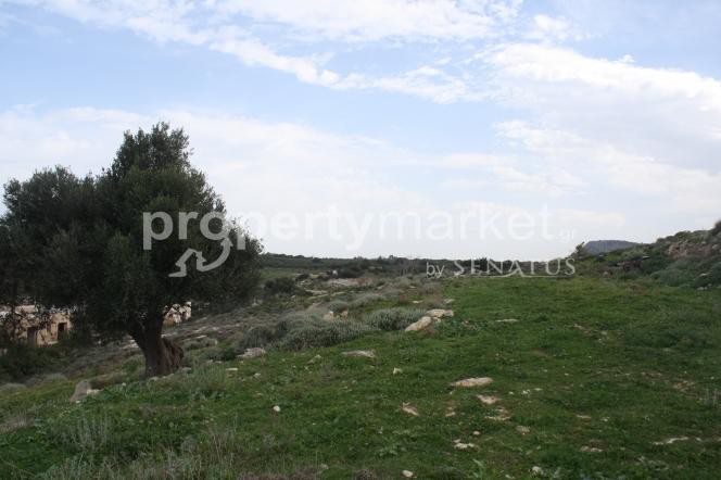 Οικόπεδο 23.000 τ.μ. πρός πώληση, Ν. Ρεθύμνου, Γεροπόταμος