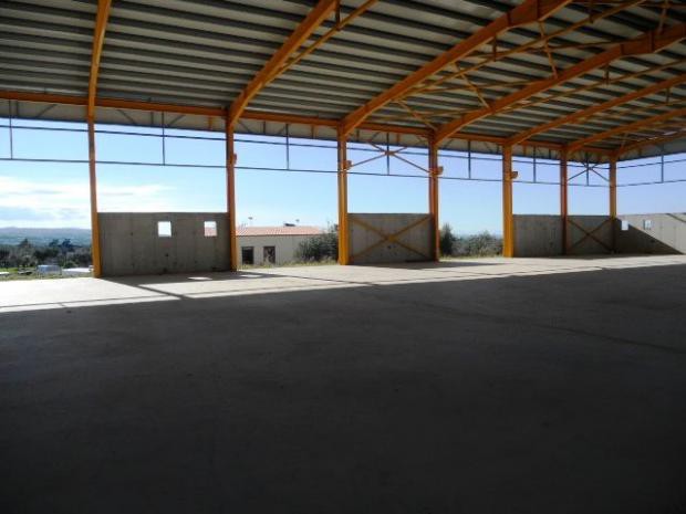 Βιομηχανικός χώρος 1.000 τ.μ. προς ενοικίαση, Γλαύκος