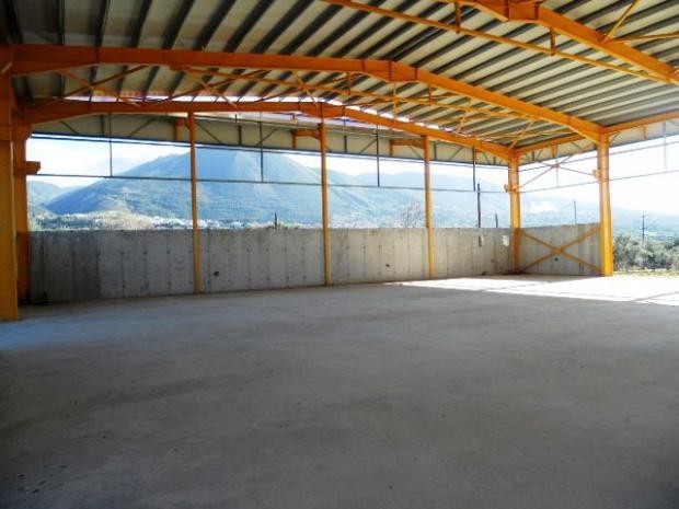 Βιομηχανικός χώρος 1.000 τ.μ. προς ενοικίαση, Γλαύκος
