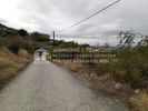 Αγροτεμάχια 750τ.μ. για πώληση-Αισωνία » Σέσκλο
