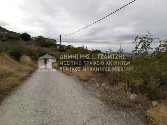 Αγροτεμάχια 750 τ.μ. για πώληση, Μαγνησία, Αισωνία