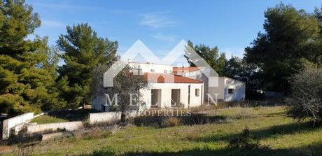Detached home 400sqm for sale-Malesina » Theologos