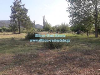 Αγροτεμάχια 1.362 τ.μ. για πώληση