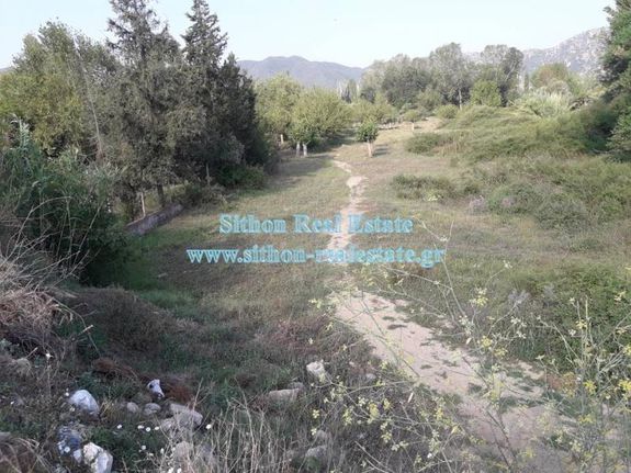 Αγροτεμάχια 521 τ.μ. για πώληση, Χαλκιδική, Τορώνη