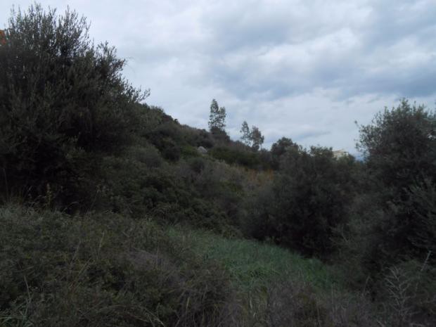 Οικόπεδο 590 τ.μ. πρός πώληση, Μαγνησία, Βόλος