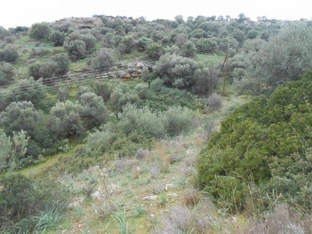 Οικόπεδο 590 τ.μ. πρός πώληση, Μαγνησία, Βόλος
