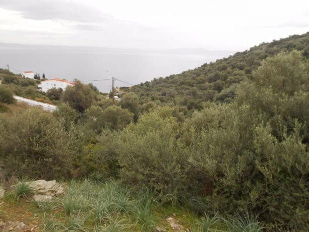 Οικόπεδο 590 τ.μ. πρός πώληση, Μαγνησία, Βόλος