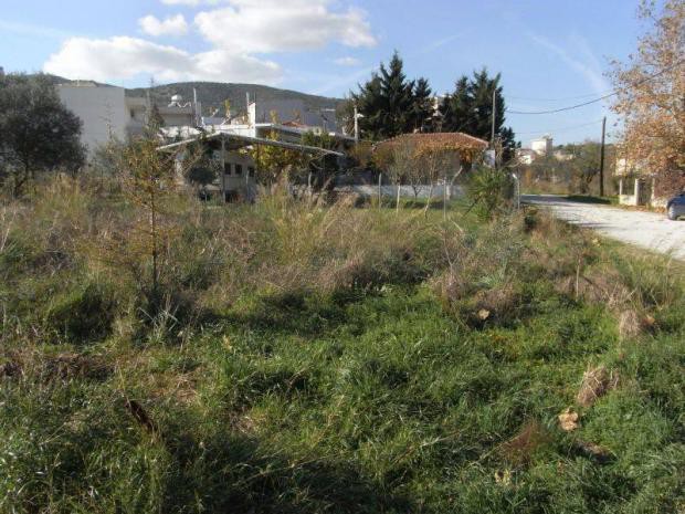 Οικόπεδο 560 τ.μ. πρός πώληση, Μαγνησία, Βόλος