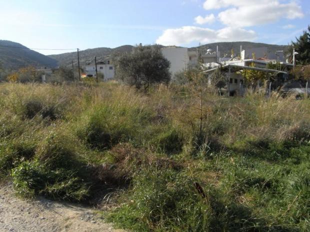 Οικόπεδο 560 τ.μ. πρός πώληση, Μαγνησία, Βόλος