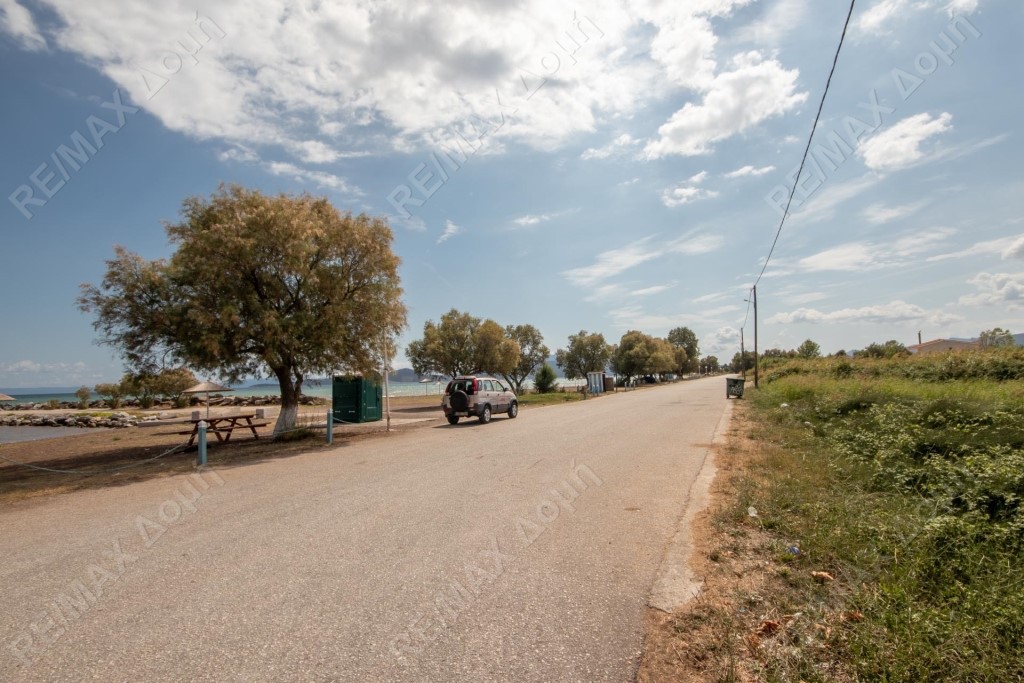 Αγροτεμάχια 4.032 τ.μ. πρός πώληση, Μαγνησία, Αλμυρός
