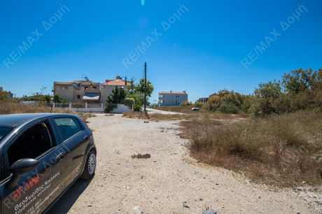 Οικόπεδο 934τ.μ. για πώληση-Βόλος » Νέες παγάσες