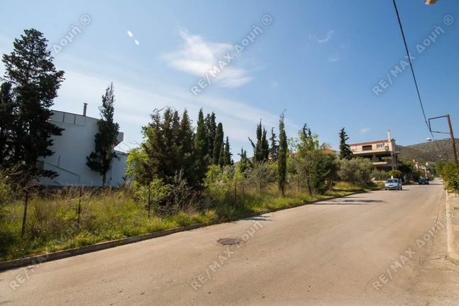 Land plot 320 sqm for sale, Magnesia, Volos