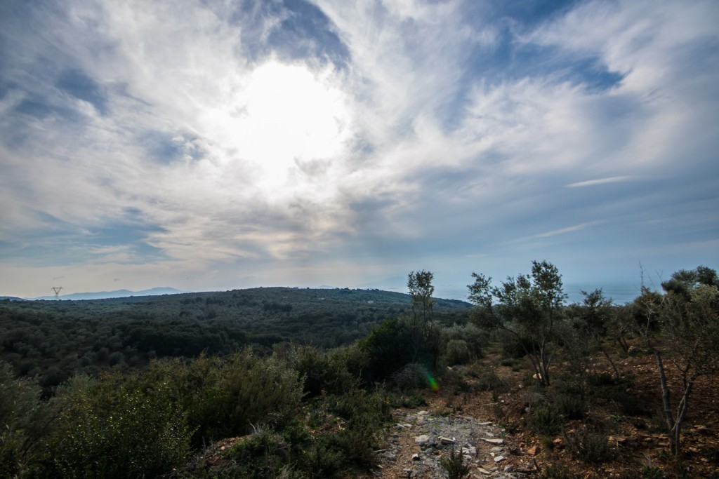 Αγροτεμάχια 18.398 τ.μ. πρός πώληση, Μαγνησία, Αργαλαστή