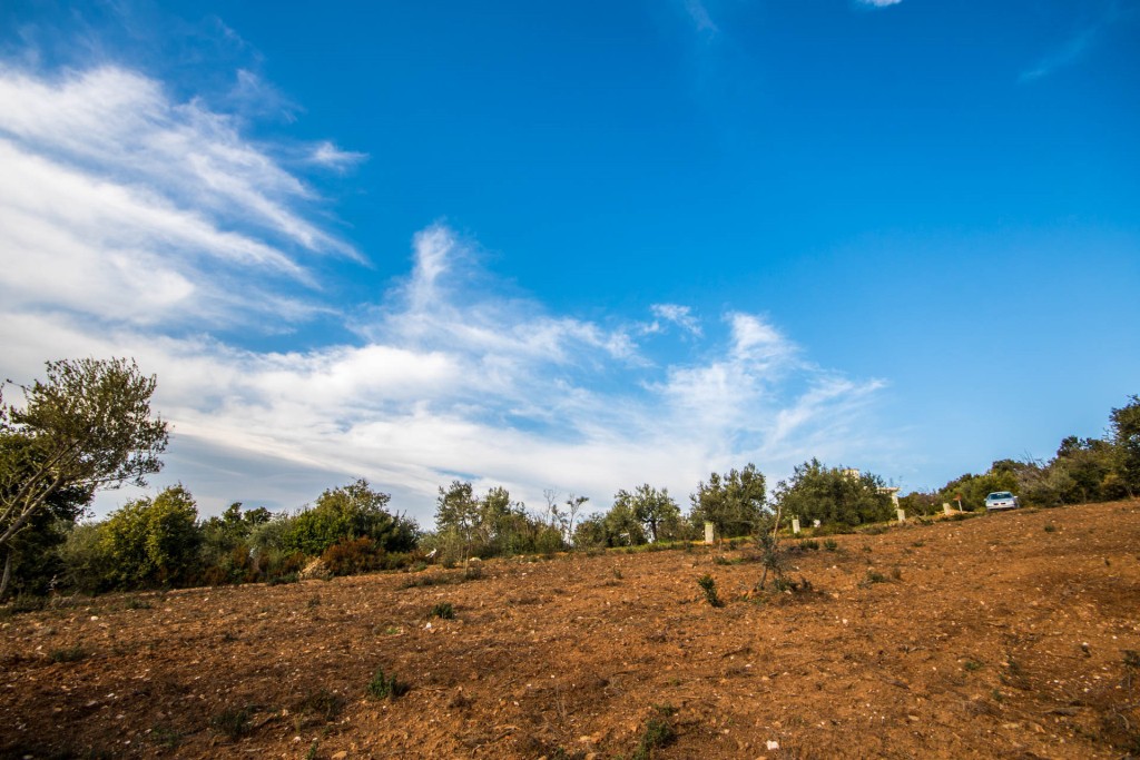 Αγροτεμάχια 18.398 τ.μ. πρός πώληση, Μαγνησία, Αργαλαστή