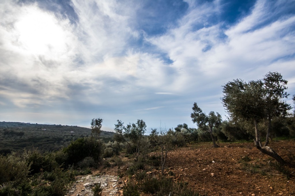 Αγροτεμάχια 18.398 τ.μ. πρός πώληση, Μαγνησία, Αργαλαστή