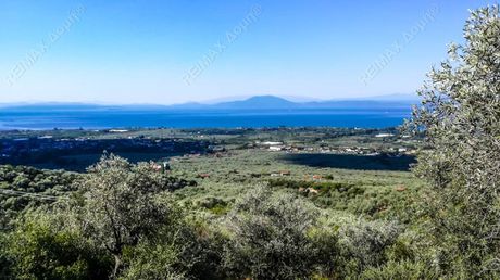 Parcel 9.724sqm for sale-Agria » Drakeia