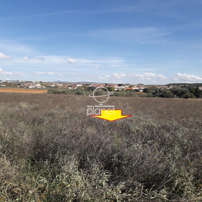 Αγροτεμάχια 6.600 τ.μ. προς πώληση, Λάκκωμα Καλλικράτειας