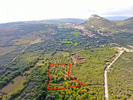 Αγροτεμάχια 10.480 τ.μ. για πώληση