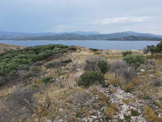 Νησί 16.000 τ.μ. για πώληση, Ν. Καβάλας, Θάσος-thumb-14