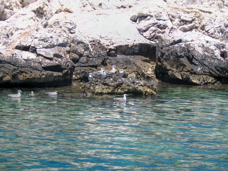 Νησί 16.000 τ.μ. πρός πώληση, Ν. Καβάλας, Θάσος