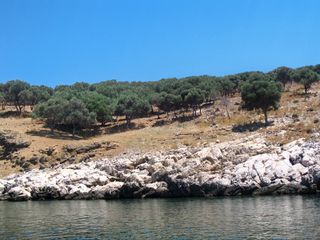 Νησί 16.000 τ.μ. για πώληση, Ν. Καβάλας, Θάσος-thumb-5