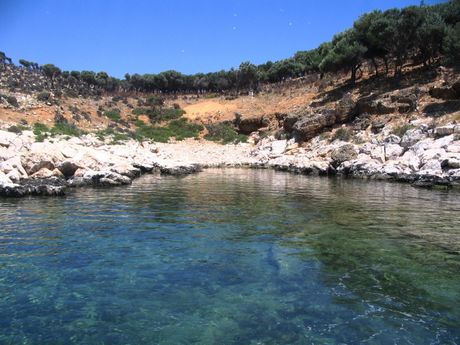 Νησί 16.000τ.μ. για πώληση-Θάσος » Αστρίδα