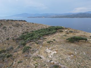 Νησί 16.000 τ.μ. για πώληση, Ν. Καβάλας, Θάσος-thumb-15