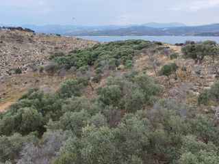 Νησί 16.000 τ.μ. για πώληση, Ν. Καβάλας, Θάσος-thumb-12