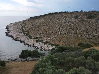 Νησί 16.000 τ.μ. για πώληση, Ν. Καβάλας, Θάσος-thumb-13