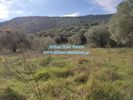 Parcel 1.390sqm for sale-Toroni » Koufos