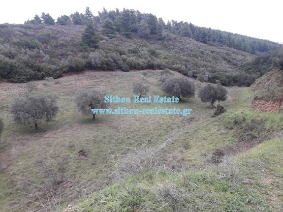 Parcel 6.285 sqm for sale, Chalkidiki, Toroni