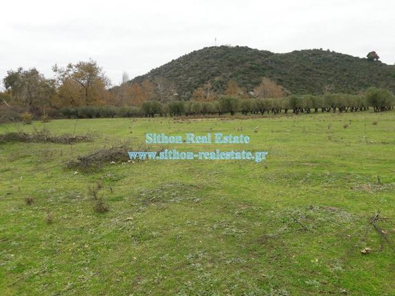 Parcel 11.000 sqm for sale, Chalkidiki, Toroni