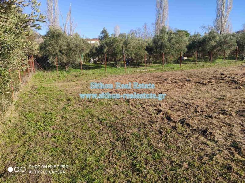 Αγροτεμάχια 576 τ.μ. προς πώληση, Νέος Μαρμαράς