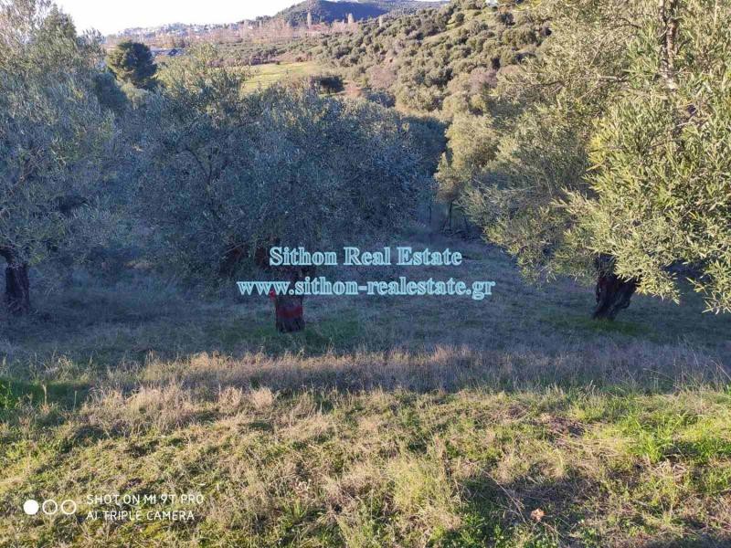 Αγροτεμάχια 200 τ.μ. προς πώληση, Νέος Μαρμαράς