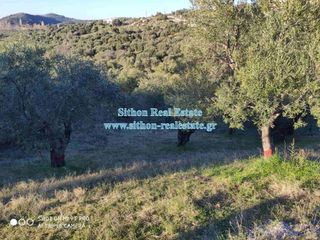 Αγροτεμάχια 200 τ.μ. για πώληση