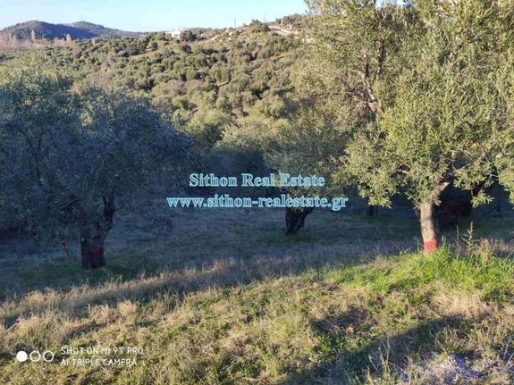 Αγροτεμάχια 200 τ.μ. για πώληση, Χαλκιδική, Σιθωνία