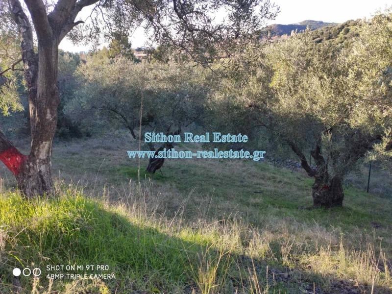 Αγροτεμάχια 200 τ.μ. προς πώληση, Νέος Μαρμαράς