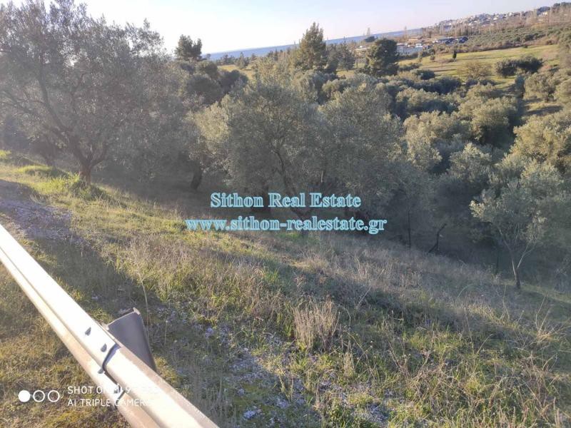 Αγροτεμάχια 200 τ.μ. προς πώληση, Νέος Μαρμαράς