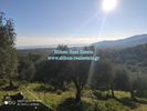 Parcel 6.087sqm for sale-Toroni » Sarti