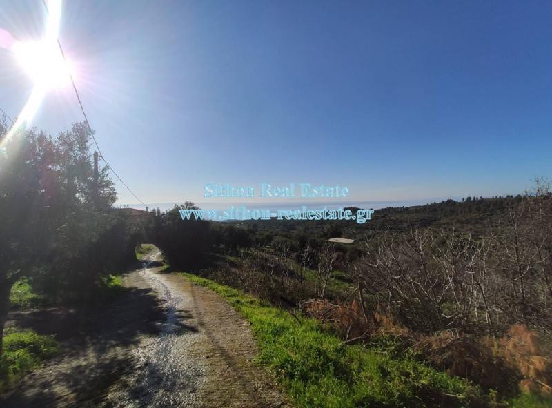 Οικόπεδο 1.308 τ.μ. προς πώληση, Παρθενώνας