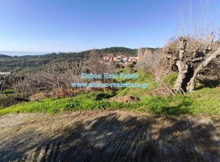 Οικόπεδο 1.308 τ.μ. προς πώληση, Παρθενώνας-thumb-5