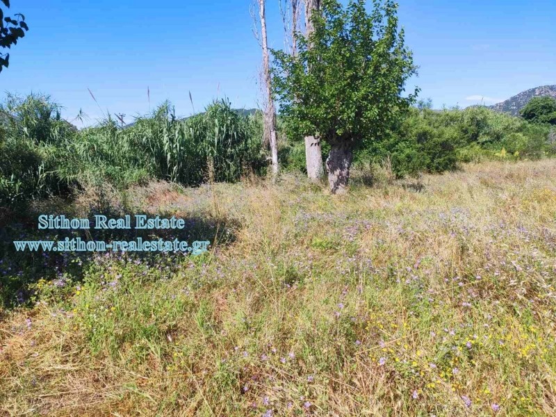 Αγροτεμάχια 1.770 τ.μ. πρός πώληση, Χαλκιδική, Τορώνη
